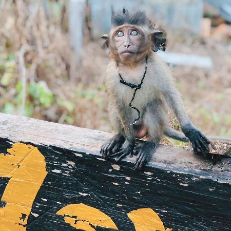 Monkey Bungalow Ko Lanta Eksteriør bilde