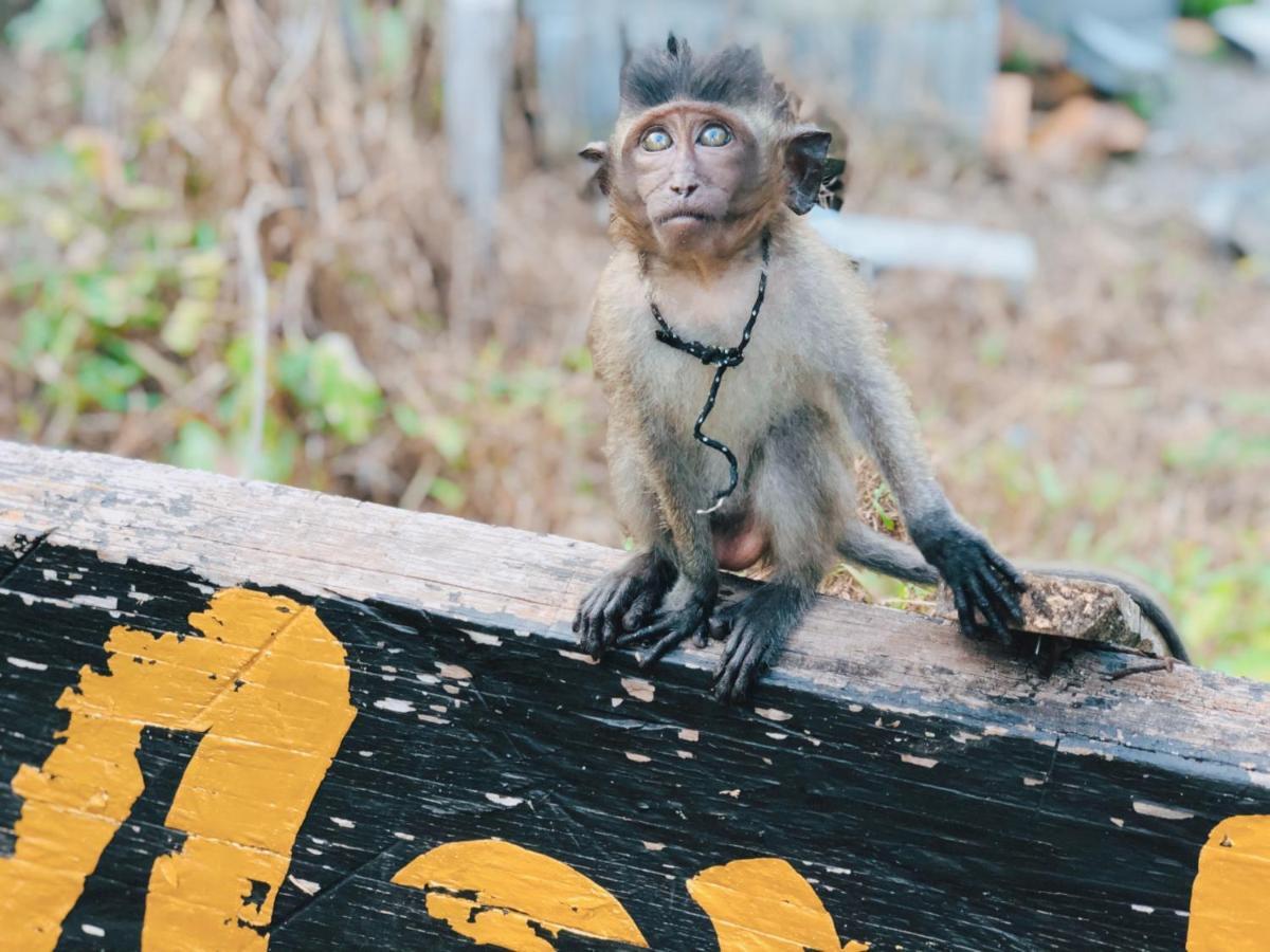 Monkey Bungalow Ko Lanta Eksteriør bilde