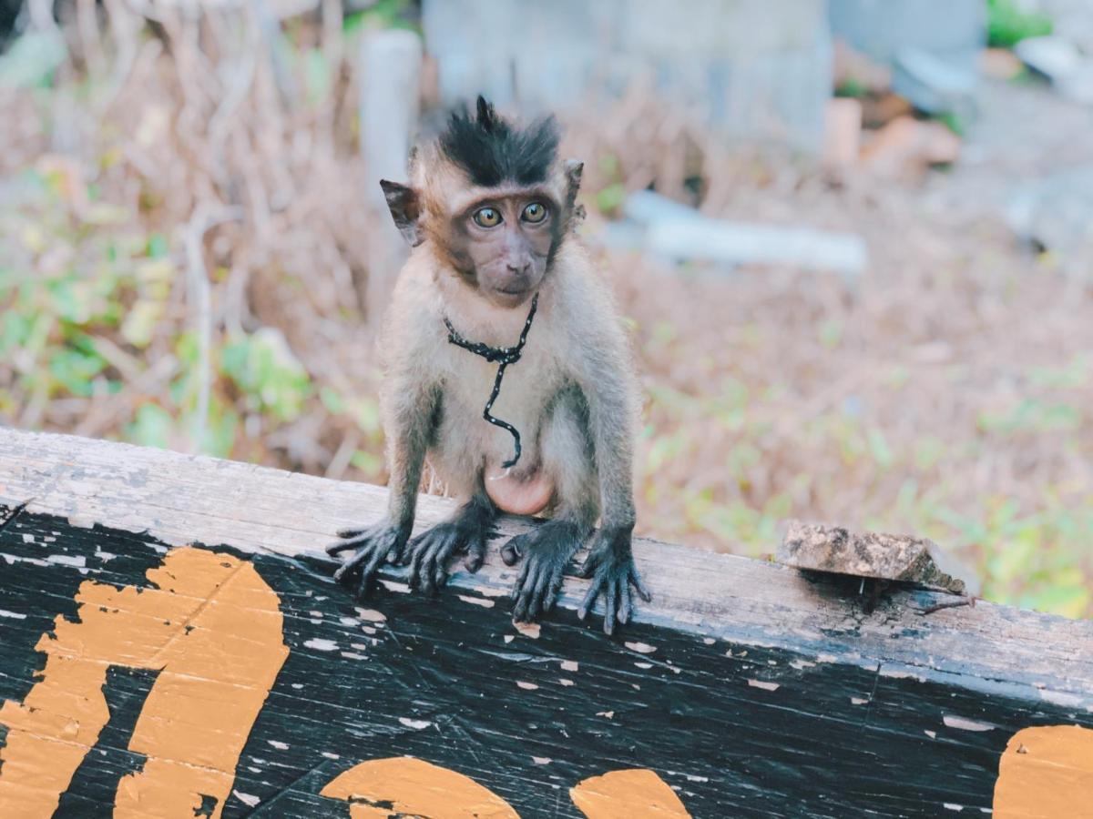 Monkey Bungalow Ko Lanta Eksteriør bilde
